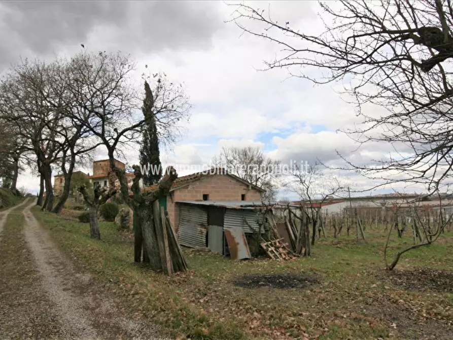 Immagine 2 di Rustico / casale in vendita  a Sinalunga