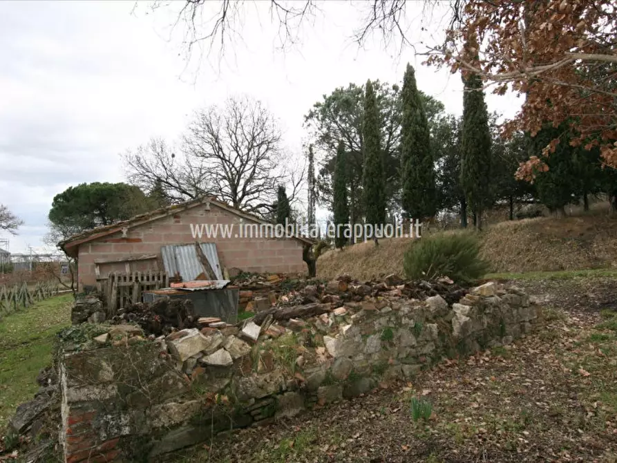 Immagine 3 di Rustico / casale in vendita  a Sinalunga