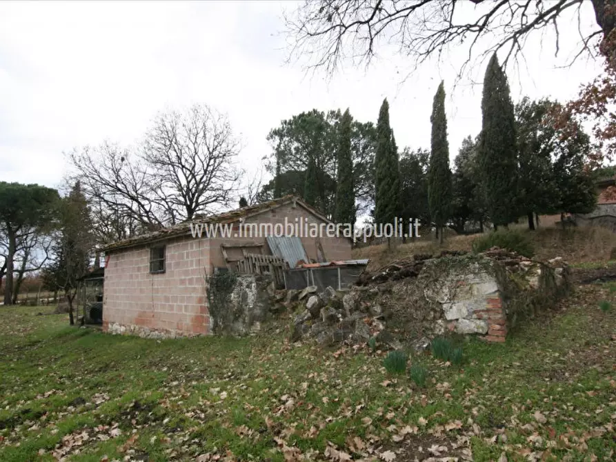 Immagine 4 di Rustico / casale in vendita  a Sinalunga