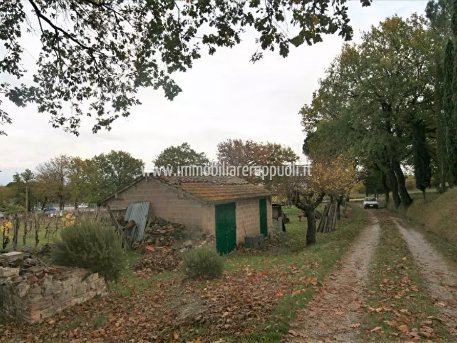 Immagine 5 di Rustico / casale in vendita  a Sinalunga