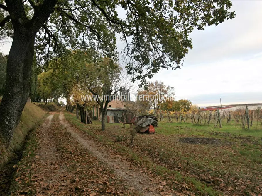 Immagine 7 di Rustico / casale in vendita  a Sinalunga