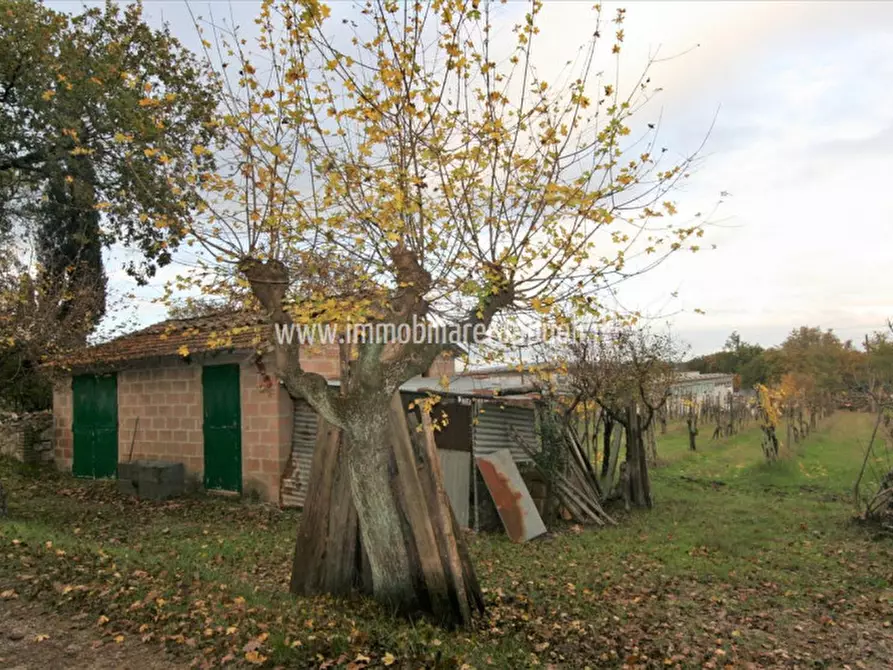 Immagine 8 di Rustico / casale in vendita  a Sinalunga