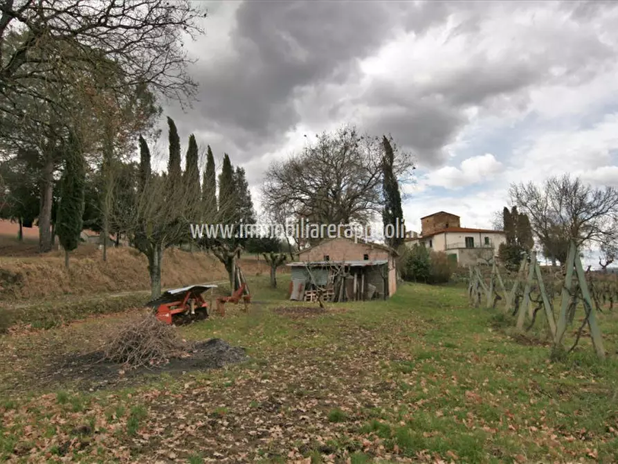 Immagine 9 di Rustico / casale in vendita  a Sinalunga