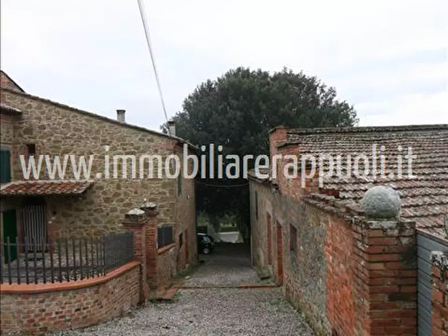 Immagine 12 di Rustico / casale in vendita  a Sinalunga