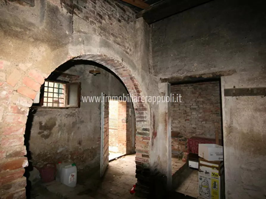 Immagine 14 di Rustico / casale in vendita  a Sinalunga