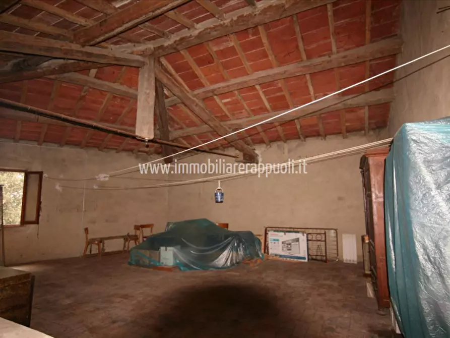 Immagine 17 di Rustico / casale in vendita  a Sinalunga