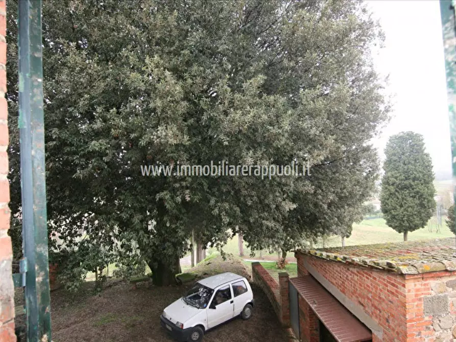 Immagine 18 di Rustico / casale in vendita  a Sinalunga