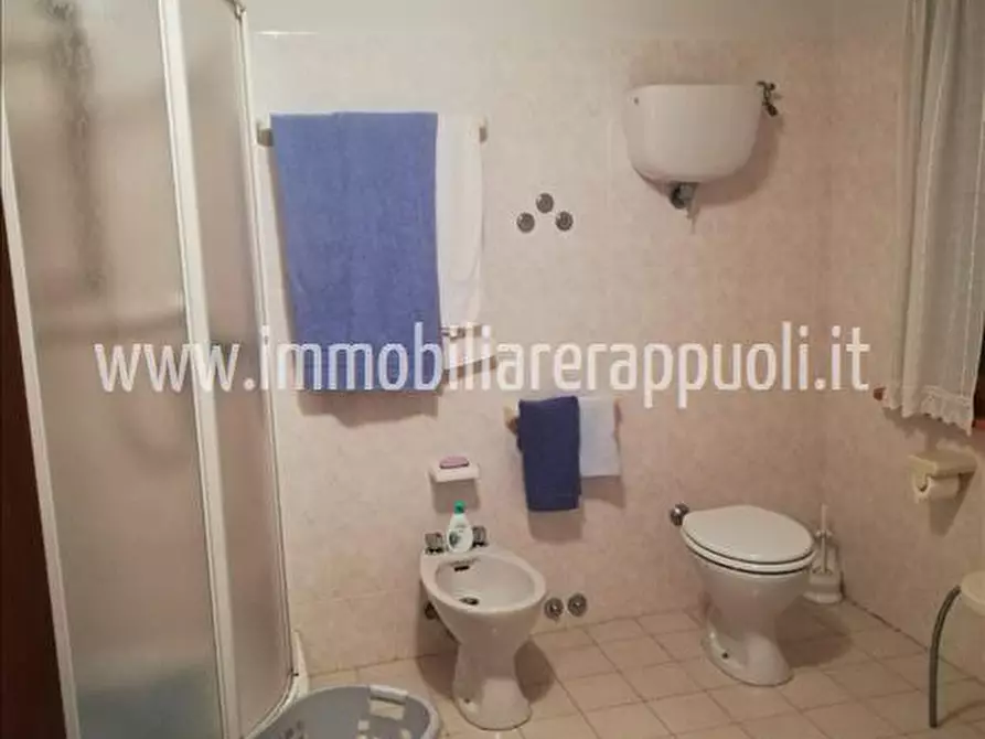 Immagine 31 di Rustico / casale in vendita  a Sinalunga