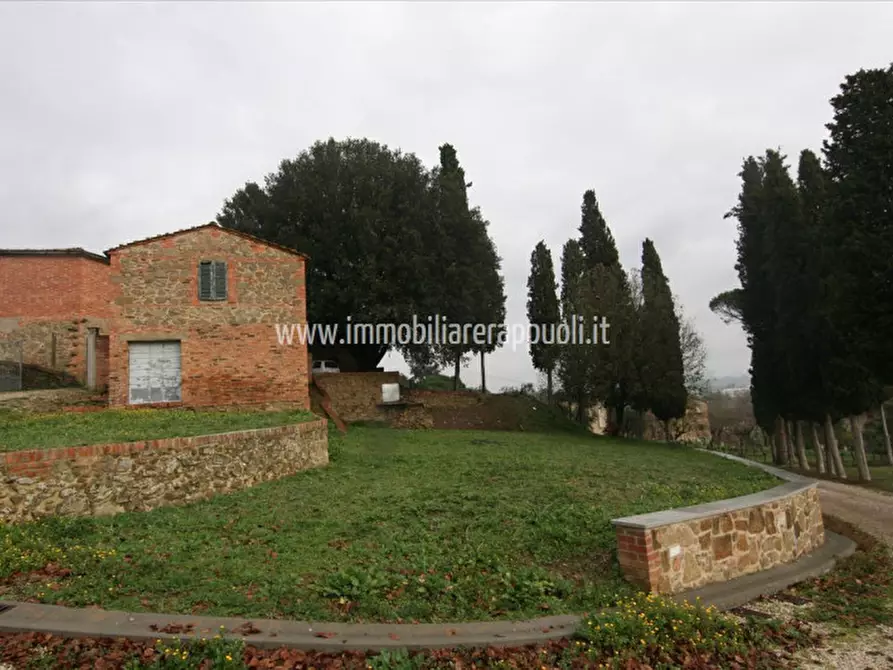 Immagine 33 di Rustico / casale in vendita  a Sinalunga