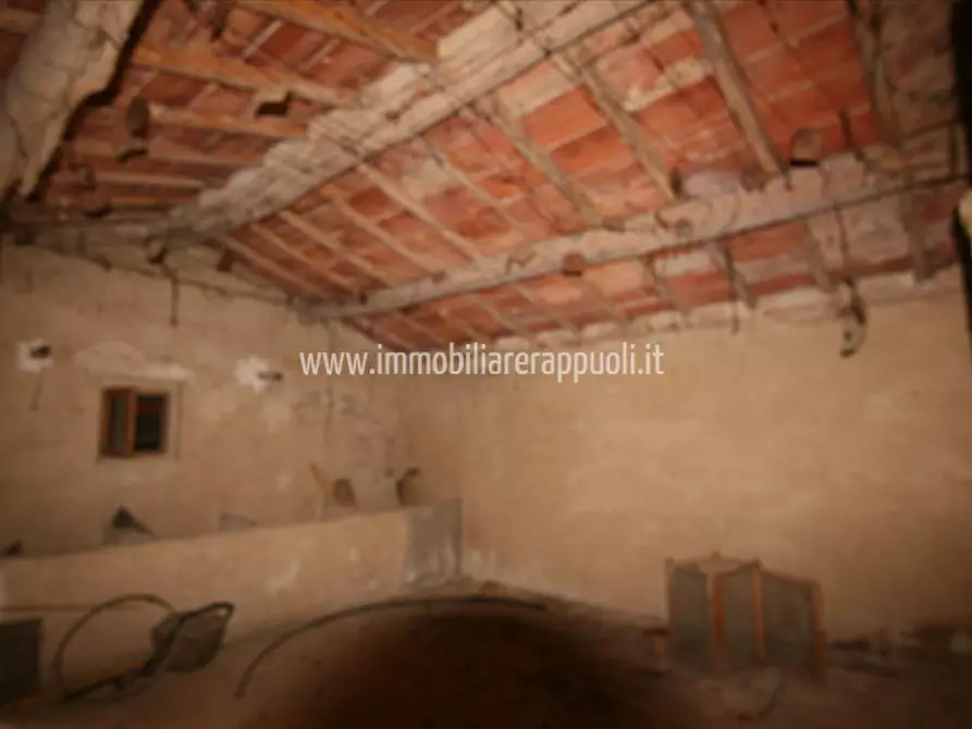 Immagine 36 di Rustico / casale in vendita  a Sinalunga