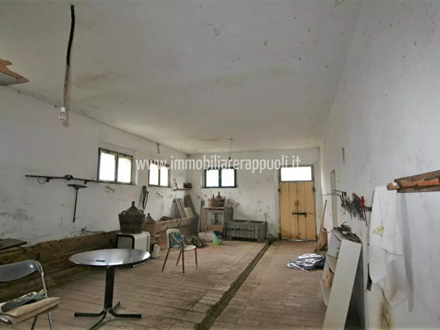 Immagine 18 di Casa indipendente in vendita  a Sinalunga