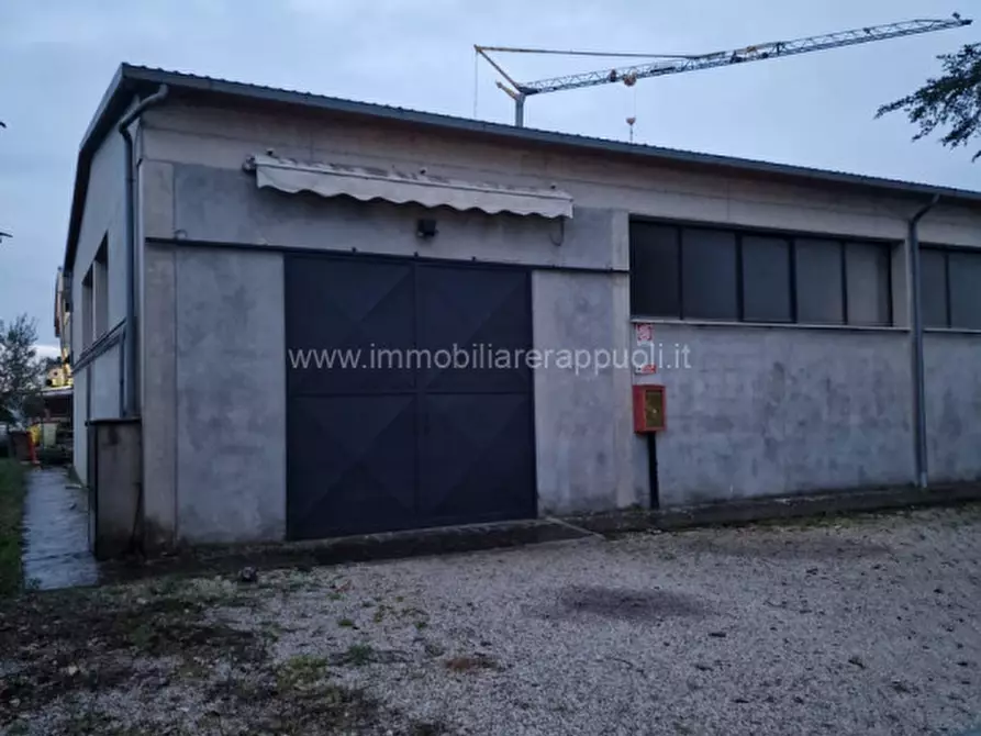 Immagine 1 di Capannone industriale in vendita  a Sinalunga