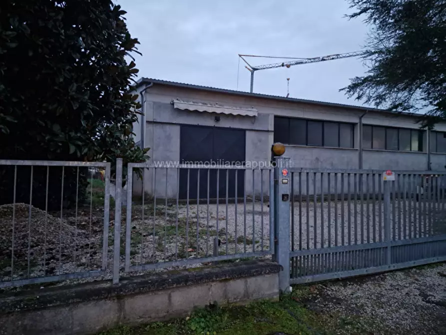 Immagine 2 di Capannone industriale in vendita  a Sinalunga