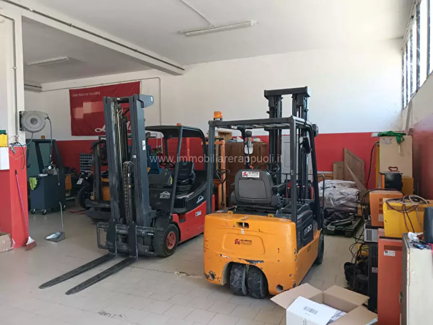 Immagine 12 di Capannone industriale in vendita  a Sinalunga