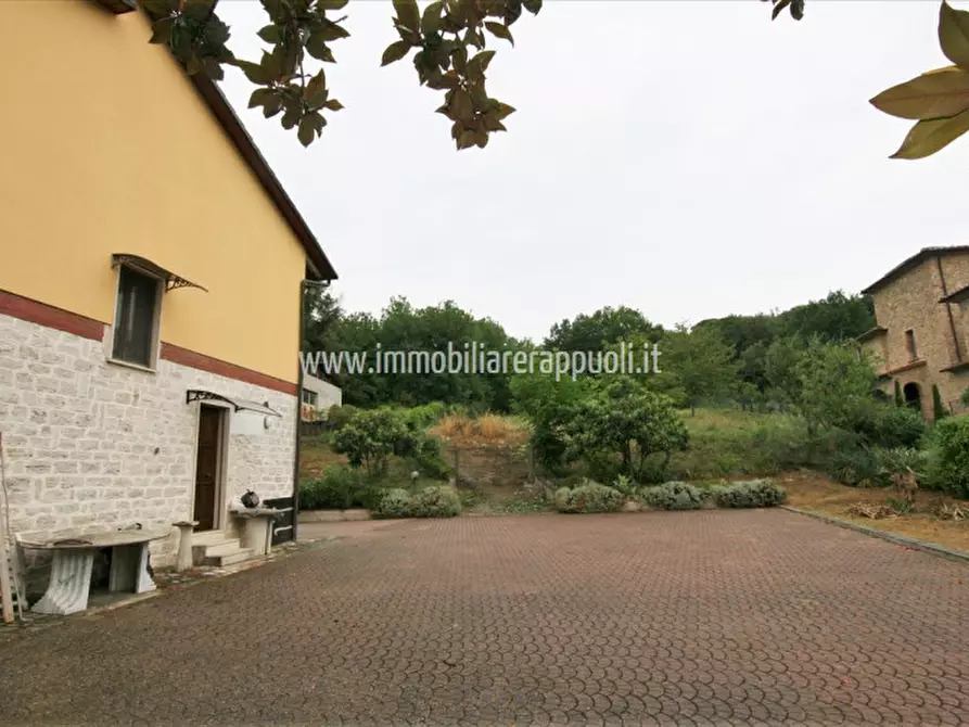 Immagine 19 di Casa indipendente in vendita  a Rapolano Terme