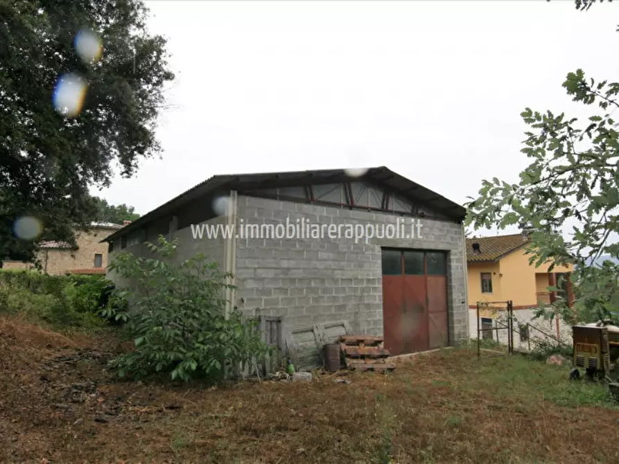 Immagine 20 di Casa indipendente in vendita  a Rapolano Terme