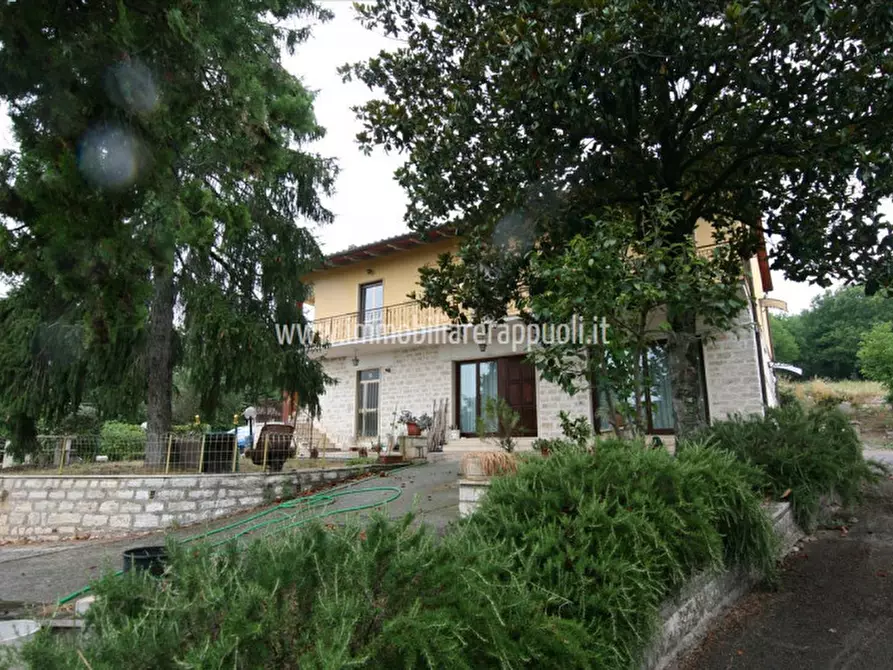 Immagine 22 di Casa indipendente in vendita  a Rapolano Terme