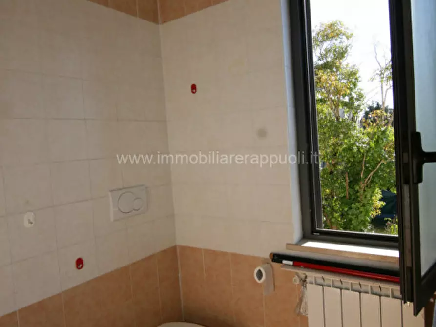 Immagine 6 di Appartamento in vendita  a Foiano Della Chiana