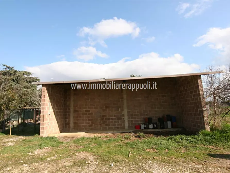 Immagine 2 di Rustico / casale in vendita  a Foiano Della Chiana