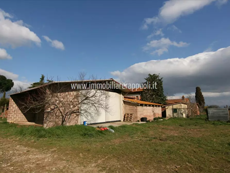 Immagine 3 di Rustico / casale in vendita  a Foiano Della Chiana