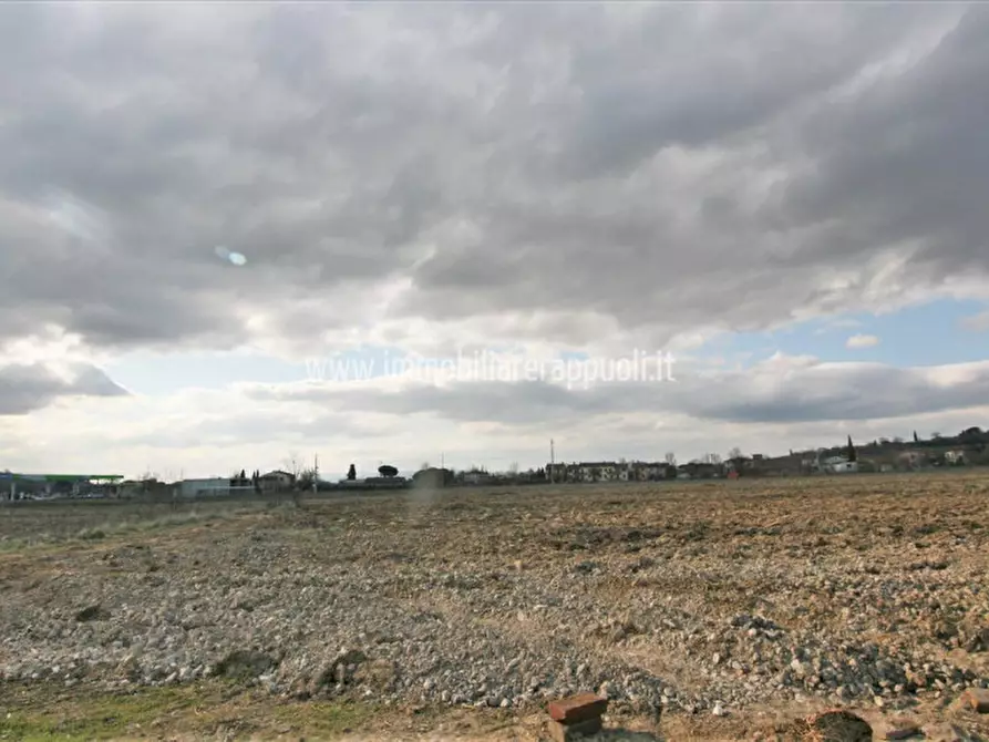 Immagine 4 di Rustico / casale in vendita  a Foiano Della Chiana