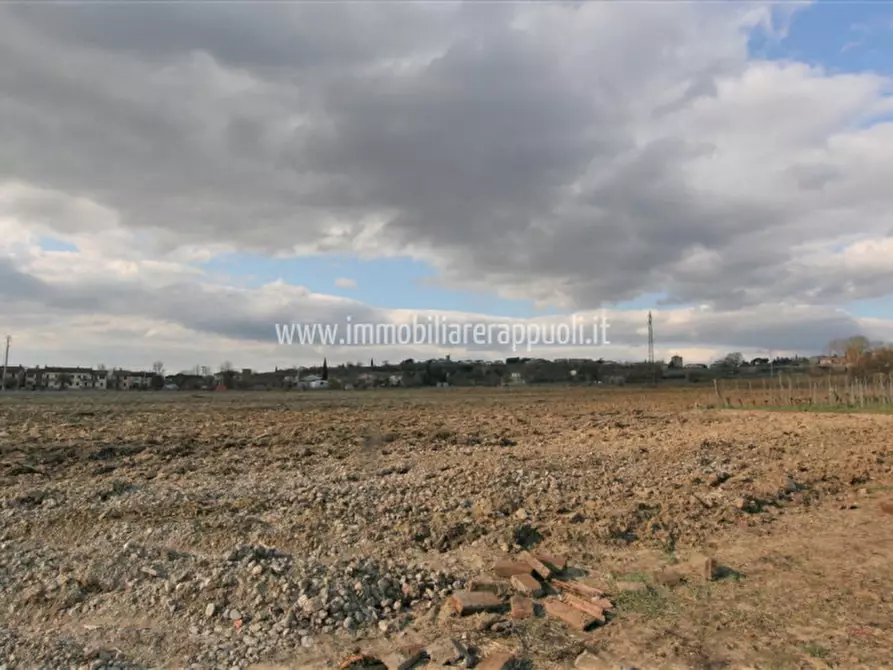 Immagine 5 di Rustico / casale in vendita  a Foiano Della Chiana