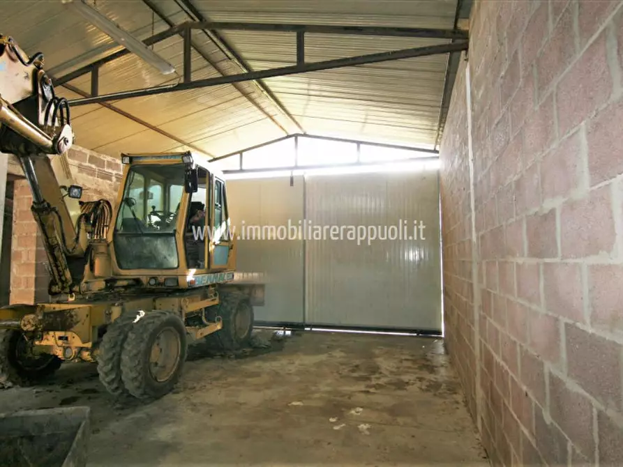 Immagine 6 di Rustico / casale in vendita  a Foiano Della Chiana