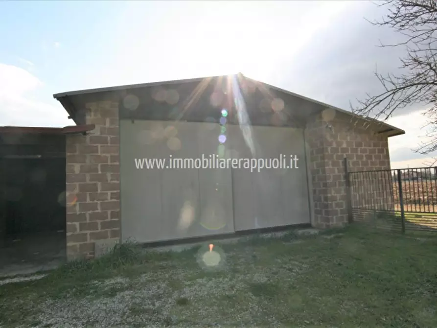 Immagine 10 di Rustico / casale in vendita  a Foiano Della Chiana