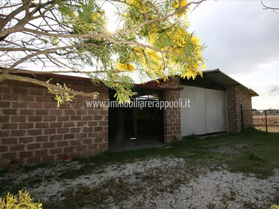 Immagine 12 di Rustico / casale in vendita  a Foiano Della Chiana