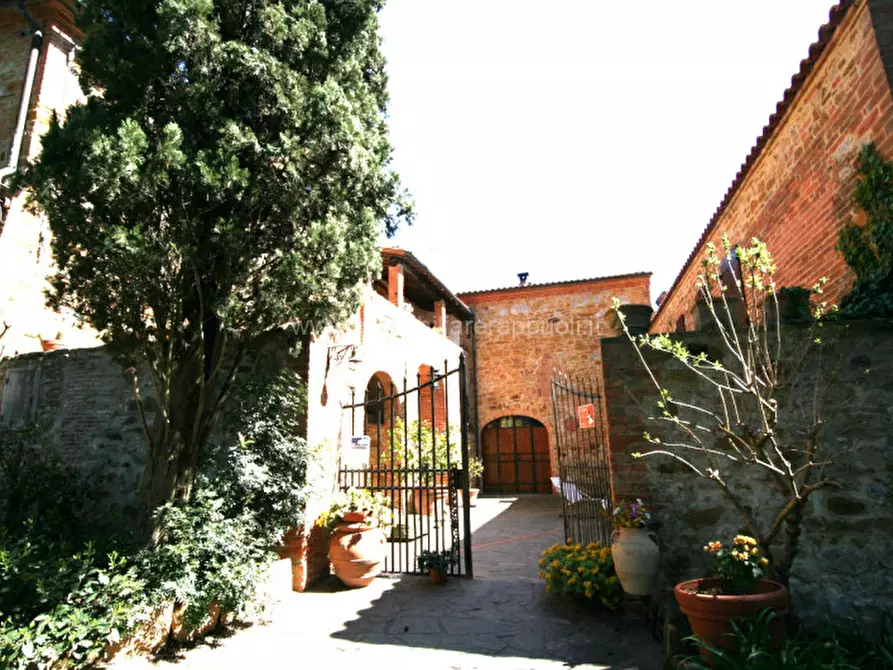 Immagine 5 di Rustico / casale in vendita  a Trequanda