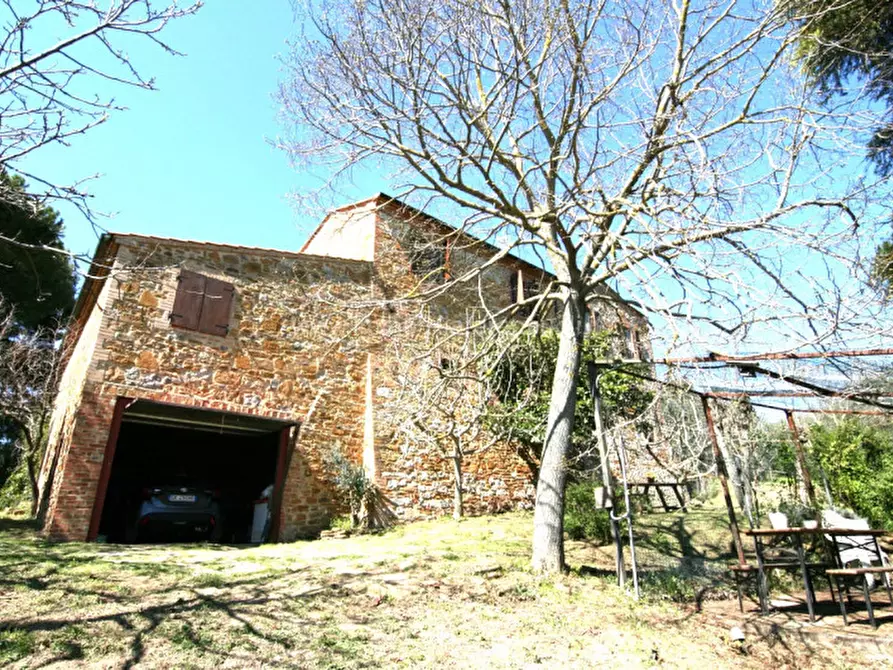 Immagine 6 di Rustico / casale in vendita  a Trequanda