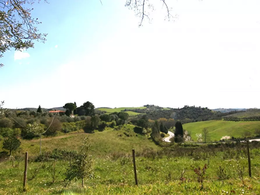Immagine 7 di Rustico / casale in vendita  a Trequanda