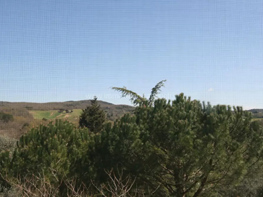 Immagine 8 di Rustico / casale in vendita  a Trequanda