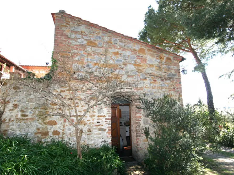 Immagine 9 di Rustico / casale in vendita  a Trequanda