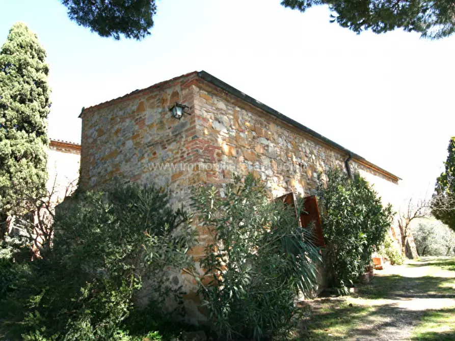 Immagine 10 di Rustico / casale in vendita  a Trequanda