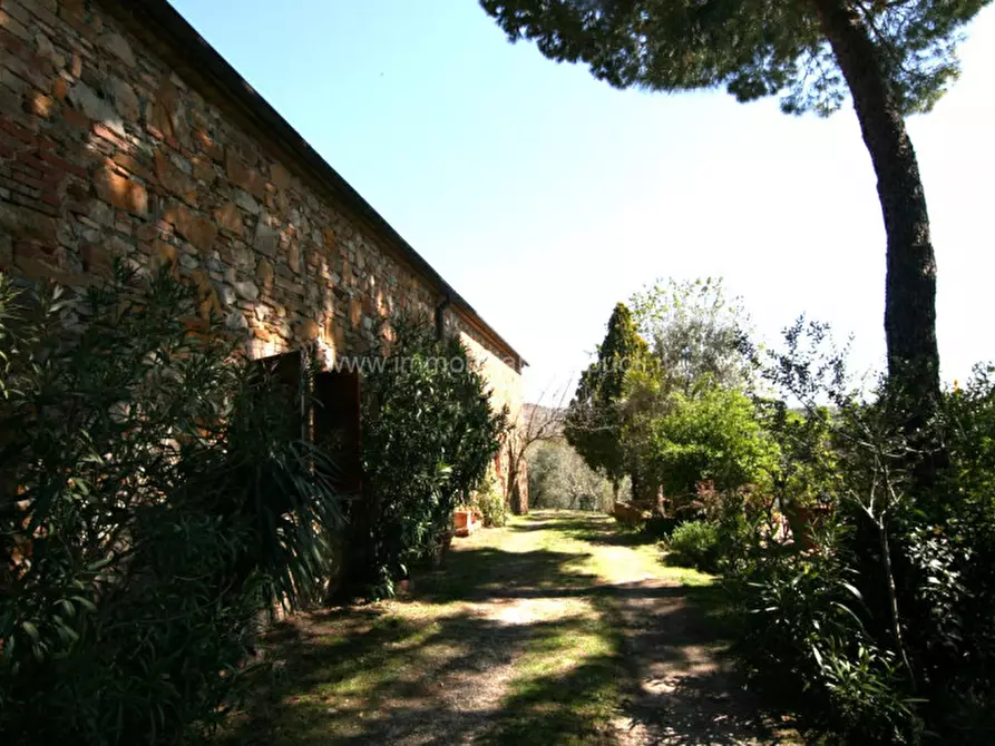 Immagine 11 di Rustico / casale in vendita  a Trequanda