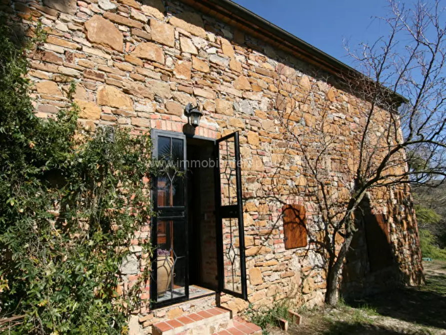 Immagine 12 di Rustico / casale in vendita  a Trequanda