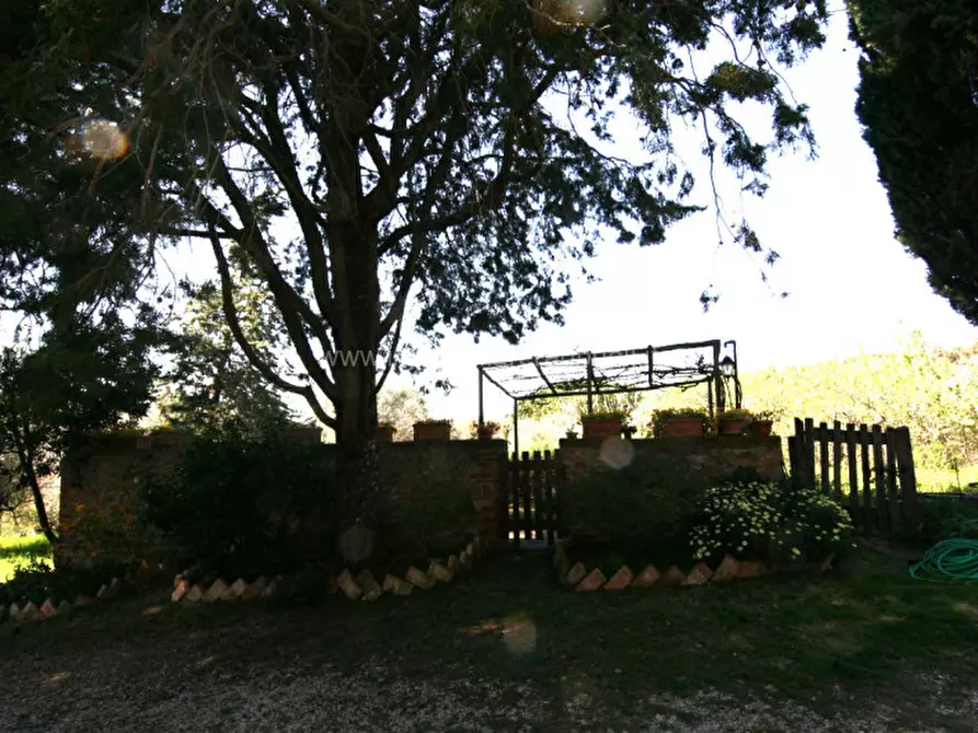 Immagine 16 di Rustico / casale in vendita  a Trequanda