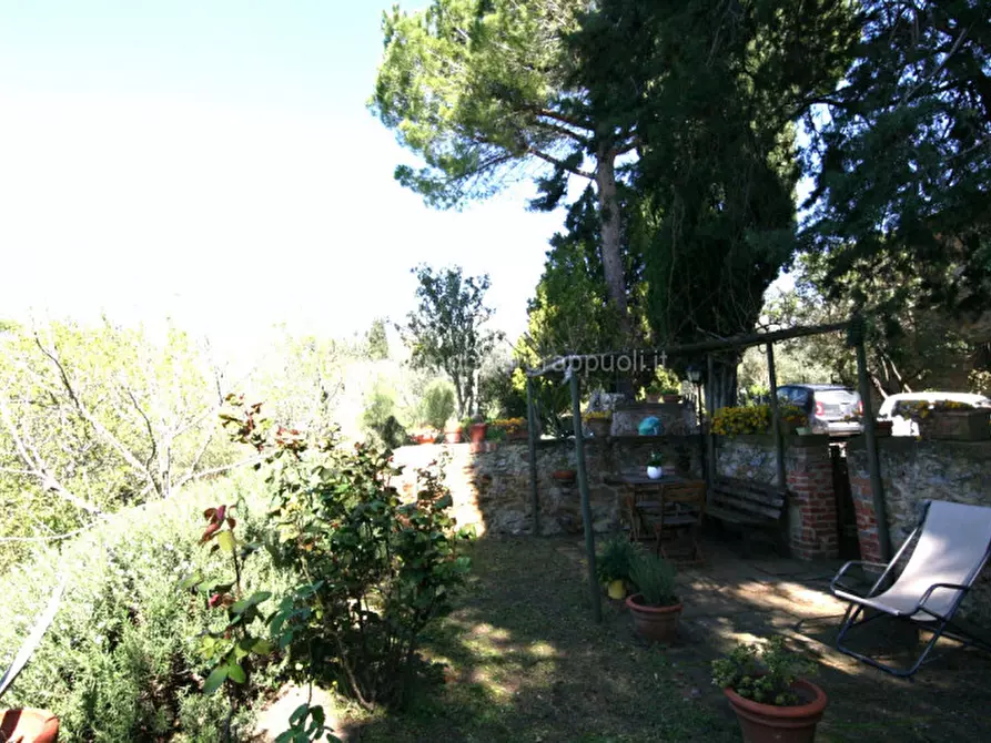 Immagine 17 di Rustico / casale in vendita  a Trequanda