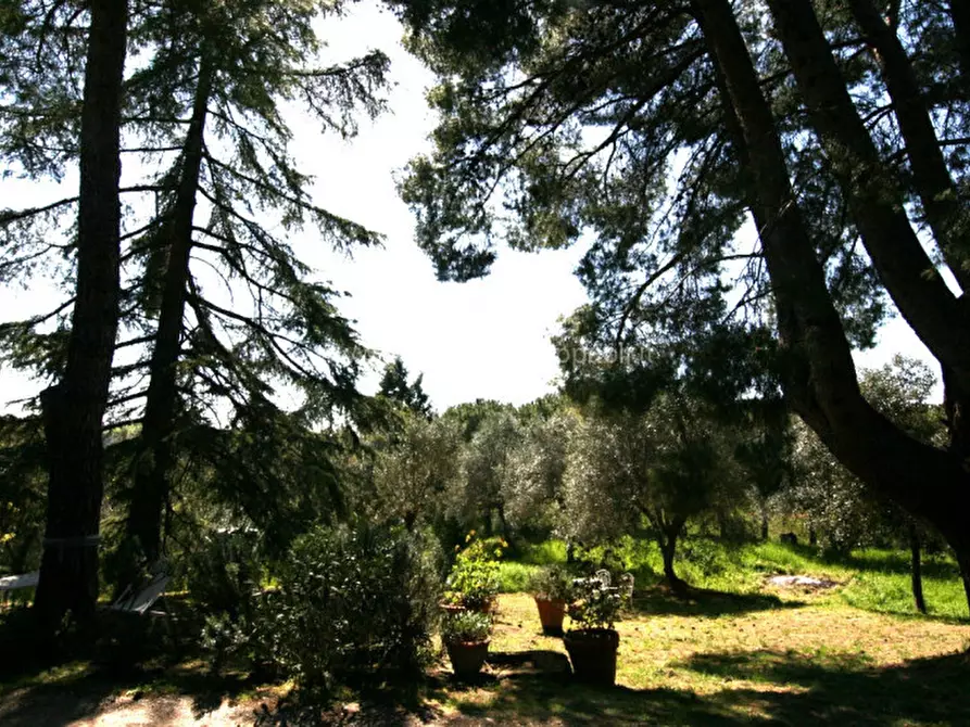 Immagine 19 di Rustico / casale in vendita  a Trequanda