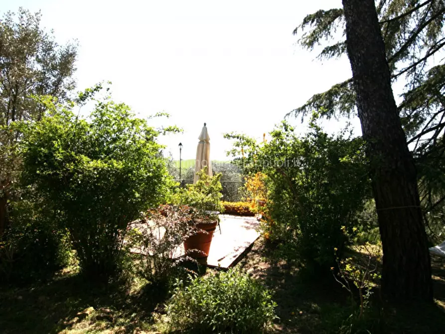 Immagine 20 di Rustico / casale in vendita  a Trequanda