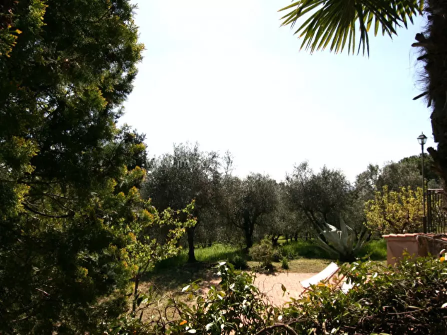 Immagine 21 di Rustico / casale in vendita  a Trequanda