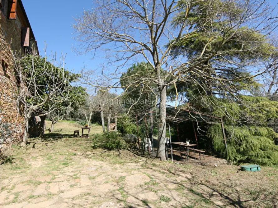 Immagine 22 di Rustico / casale in vendita  a Trequanda