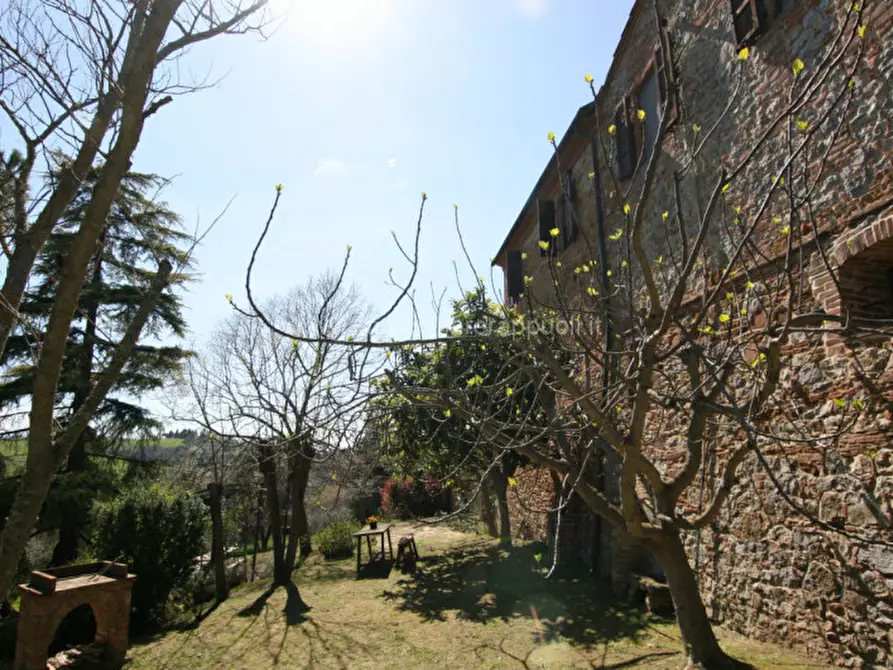 Immagine 23 di Rustico / casale in vendita  a Trequanda