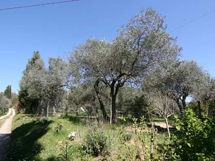 Immagine 24 di Rustico / casale in vendita  a Trequanda