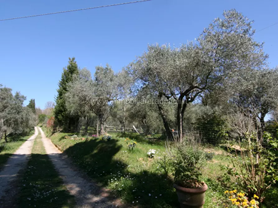 Immagine 25 di Rustico / casale in vendita  a Trequanda