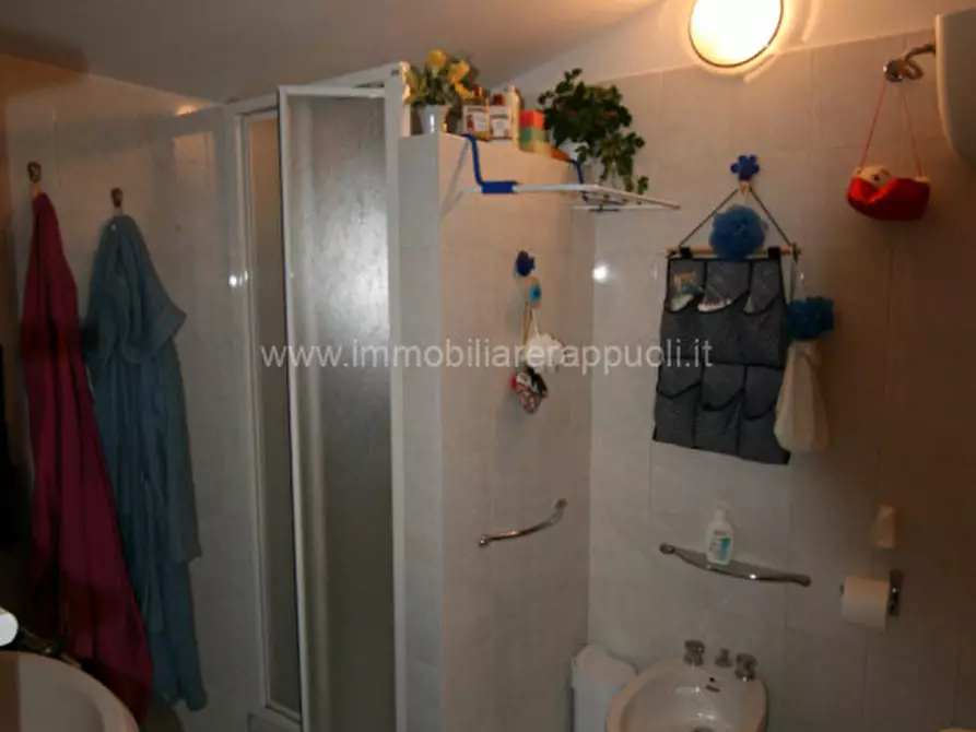 Immagine 32 di Rustico / casale in vendita  a Trequanda