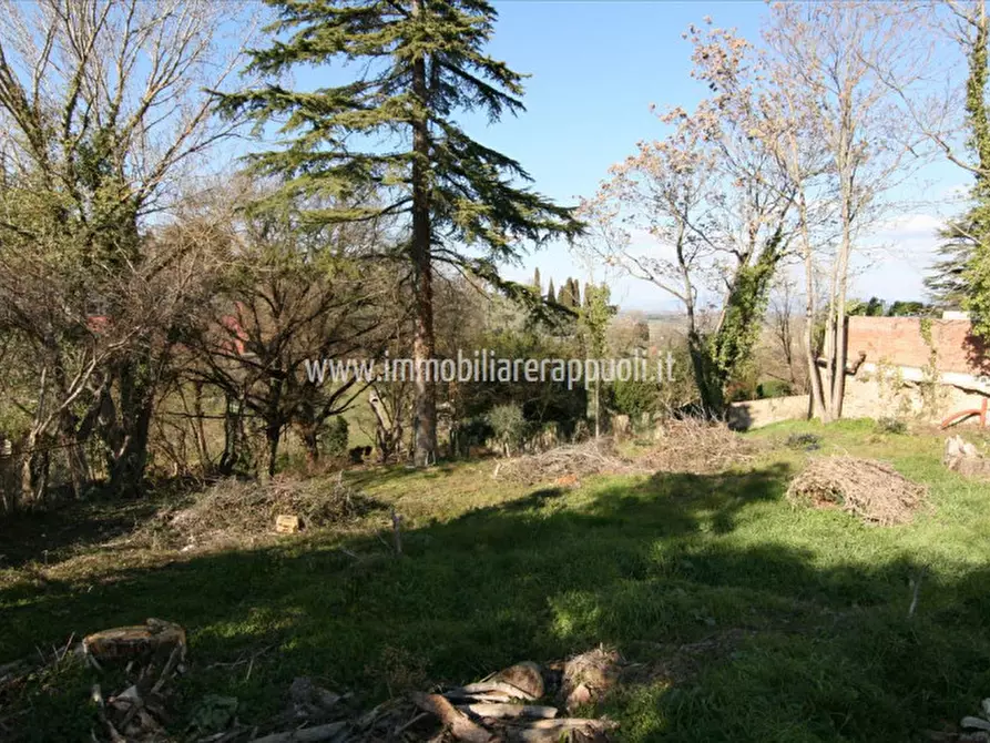 Immagine 38 di Villa in vendita  a Sinalunga