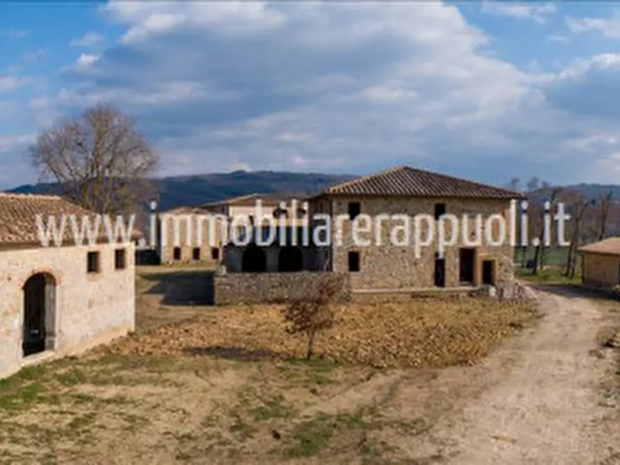 Immagine 4 di Villa in vendita  a Rapolano Terme