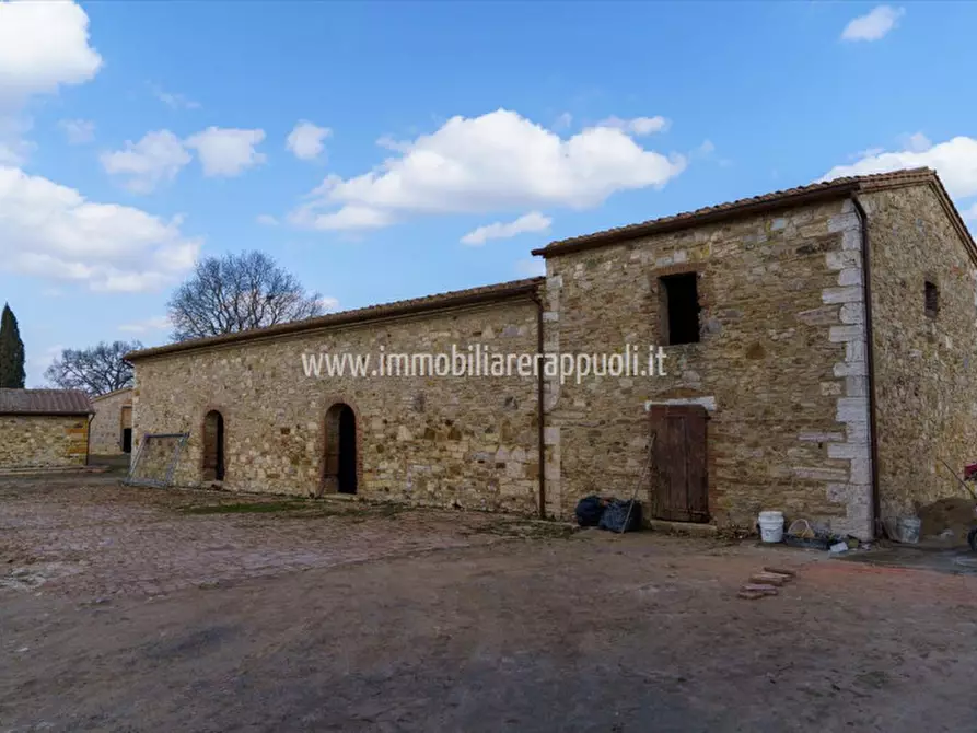 Immagine 7 di Villa in vendita  a Rapolano Terme